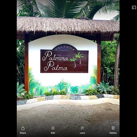 Palmera Palma Top Floor Moalboal Exterior photo