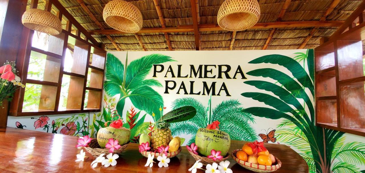 Palmera Palma Top Floor Moalboal Exterior photo